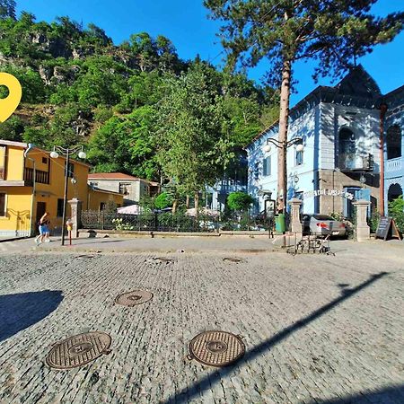 Alongside Park Borjomi Hotel Bagian luar foto
